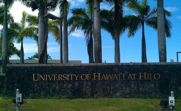 Universidade do Havaí oferece bolsas de estudos para estrangeiros